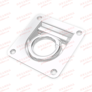 Stainless Steel Lashing Ring with Spring