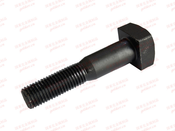 High Quality Rail Bolt M24